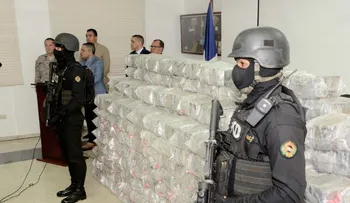  DNCD decomisa mil 425 paquetes de drogas en San Cristóbal 