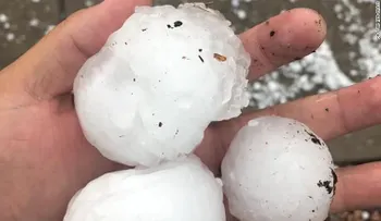 Una tormenta de granizo dejó dos animales muertos y 14 personas heridas en un zoológico de EE.UU.