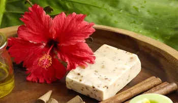 Una planta ayuda tu piel, cabello y la salud: Hibiscus 
