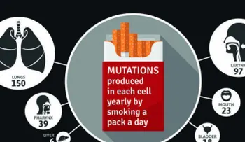 Explican cómo el tabaco causa hasta 17 tipos de cáncer
