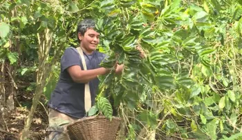 El niño genio de la agricultura en Puerto Rico