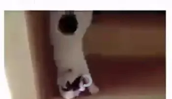 Cuando está borracho (VIDEO)