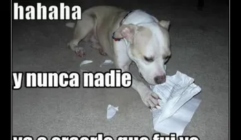 â??Mi perro se comió mi tareaâ?