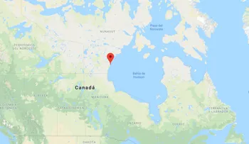Un oso polar mata a un hombre en Canadá cuando trataba de proteger a sus niños