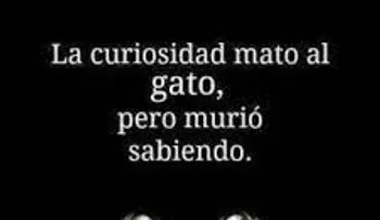 "La curiosidad mató al gato", pero murió sabiendo...