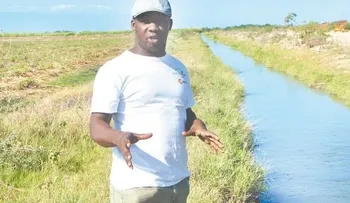 Piden no quemar la caña y usar el cogollo para los animales