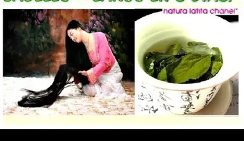 Este es el MEJOR remedio casero para hacer crecer el cabello