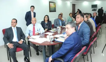 Edesur presenta plan estratégico a la Cámara de Diputados