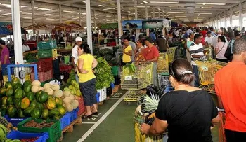 275 productores están instalados en el Merca Santo Domingo