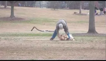 Un Oscar al Mejor Actor para este perro... (VIDEO)