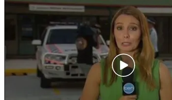 Hacía un reporte en vivo sin saber que a sus espaldas ocurría esto