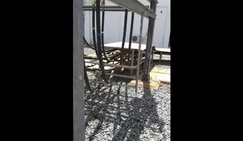 Un mono deja a todo Kenya sin electricidad