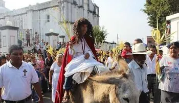 Feligreses celebran Domingo de Ramos