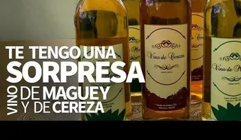 Productores de Guayabo Dulce se llevaron tremenda sorpresa
