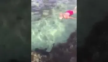 Una mujer saca a un tiburón de una piscina natural por un inesperado motivo