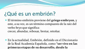 ¿Qué significa para la Cultura un embrión?