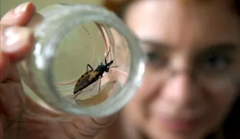  La lucha contra el Mal de Chagas en Colombia, Brasil y México se financia con juego