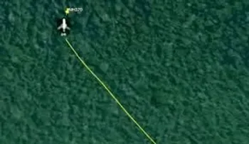 Un investigador dice haber encontrado al MH370 en una jungla gracias a Google Maps