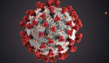 ¿Qué se sabe de la nueva variante de coronavirus hallada en Sudáfrica?