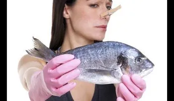 Tu vagina podría estar oliendo a pescado, y estas son las razones