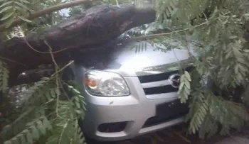 Ventarrón acompañado de granizo provoca daños en Dajabón
