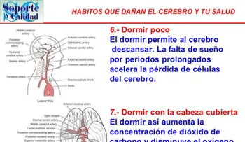 Habitos que dañan el cerebro