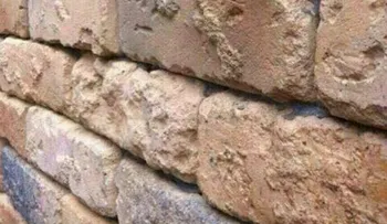 ¿Una serpiente entre ladrillos?: Una nueva ilusión óptica trae de cabeza a los internautas