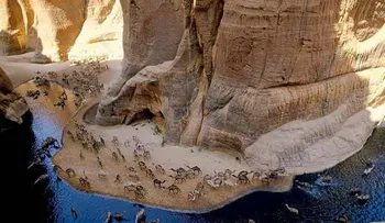 Un lugar casi imposible de ver en medio del desierto, pero cuando te acercasâ?¦ Es espectacular 