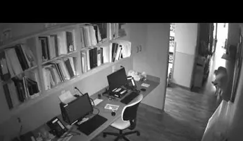 Un perro escapa abriendo todo lo que encuntra a su paso