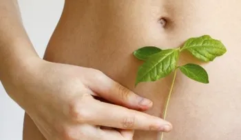 5 alimentos para repoblar la flora intestinal