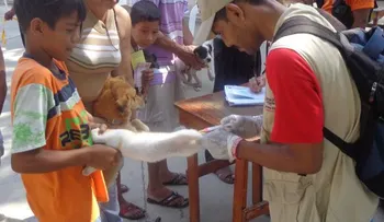 Realizan jornada para vacunar contra rabia 200 mil perros y gatos