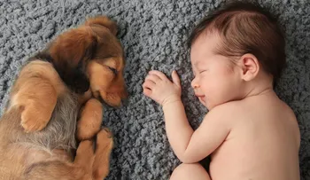 Los niños que conviven con mascotas son menos propensos a sufrir alergias