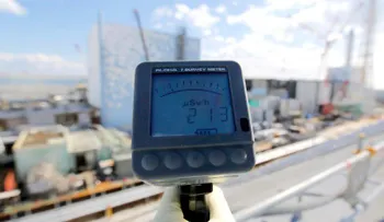 Operador de Fukushima negó la fusión de reactor durante dos meses