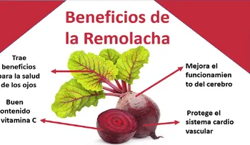 Elimina la grasa de tu hígado y controla la hipertensión con remolacha (betabel); también mejora tu circulación