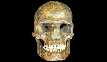 Descubren antigua población humana desconocida 