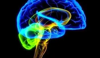 La Enfermedad Inflamatoria Intestinal se camuflajea y hace difícil su detección