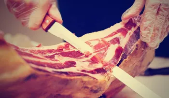 Jamón crudo, el secreto alimenticio para combatir una bacteria fatal