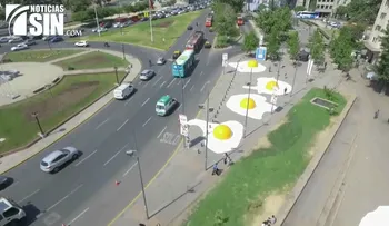 Huevos gigantes llaman la atención en Chile