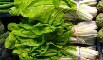 4 vegetales que debes comer con moderación