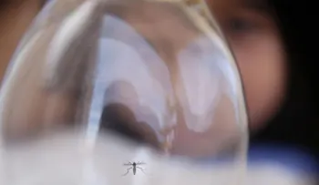 República Dominicana reporta 30 muertes a causa del dengue en lo que va del año