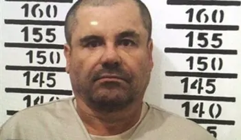 Abogado: "El Chapo" aceptaría declararse culpable en EEUU