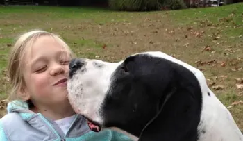 La increíble historia de una pequeña niña y el enorme perro que la ayuda