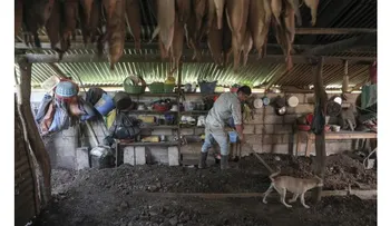 Pisos de tierra revelan pobreza en Guatemala