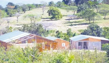 Residenciales afectados por invasores solares