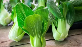 Alimentos que tienen más hierro que la carne 