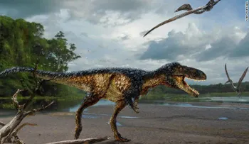 Cerebro antes que músculo: cómo el Tiranosaurio Rex se convirtió en rey