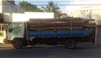 Apresan dos hombres habían robado cargamento de maderas preciosas