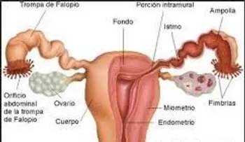 Consejos para casos de picazón y flujo vaginal en mujeres adultas y adolescentes