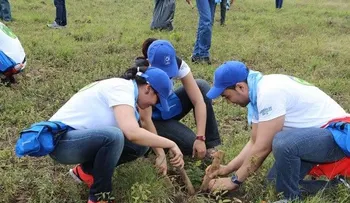 Grupo Popular siembran 6,180 árboles en San José de las Matas