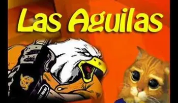La filosofía de ser un aguilucho